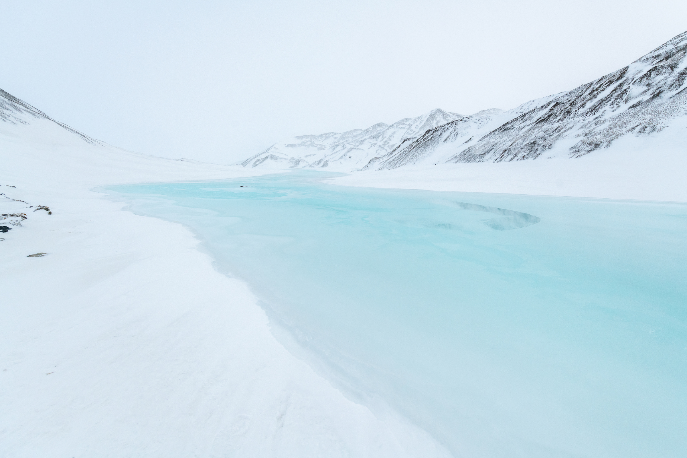kongsbreen, spitsbergen (3).webp